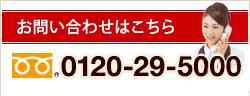 ޤϤä0120-29-5000